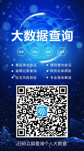 網上都是怎么查詢個人信用大數(shù)據(jù)的