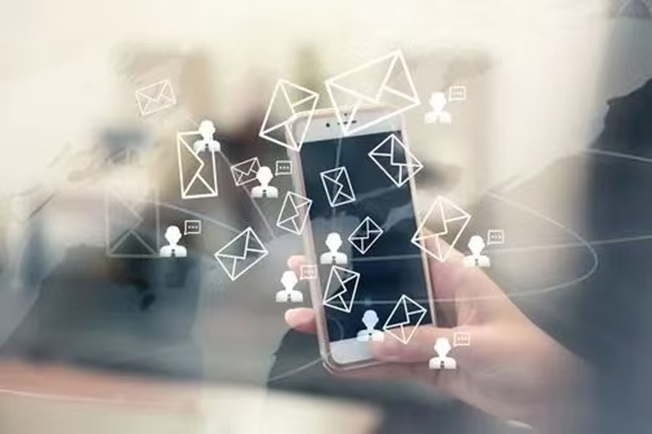 翠鳥數(shù)據(jù)查詢要收費嗎？在哪里可以查詢？