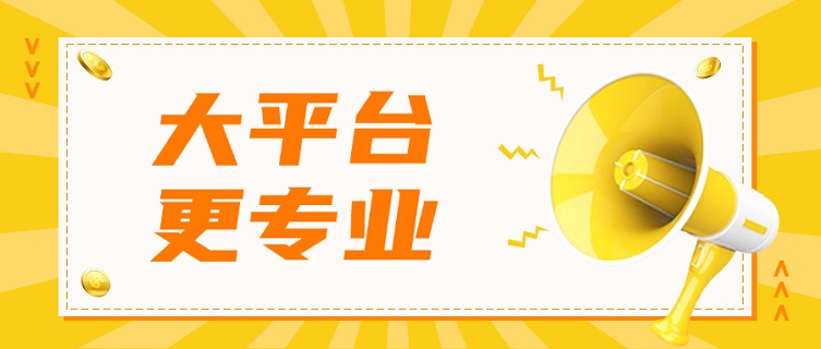 閃電助手：24小時(shí)不打烊的信用管家，破解信息不對(duì)稱(chēng)難題，快速精準(zhǔn)查詢(xún)自身大數(shù)據(jù)信用